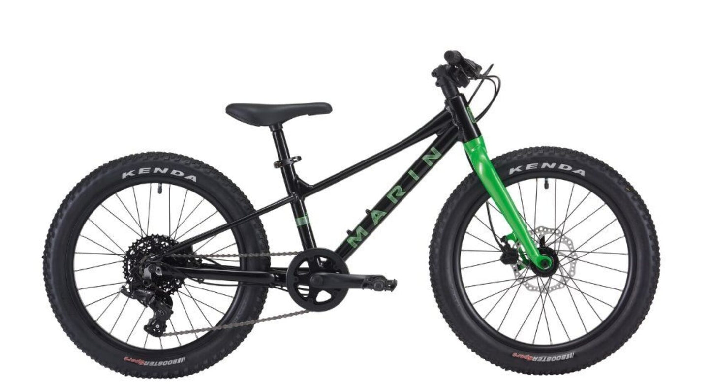 Marin Bear Valley 20" 2025