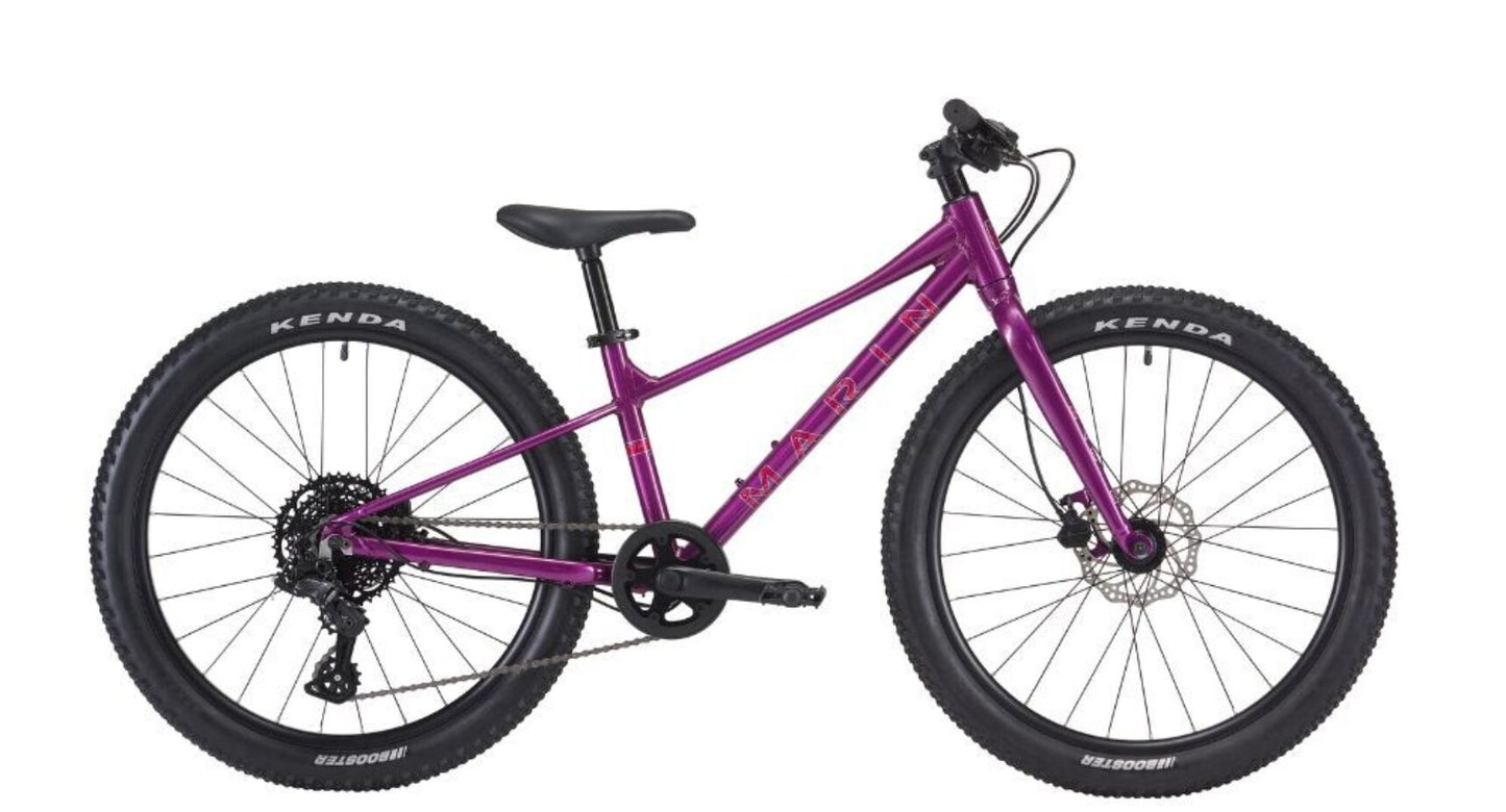 Marin Bear Valley 24" 2025