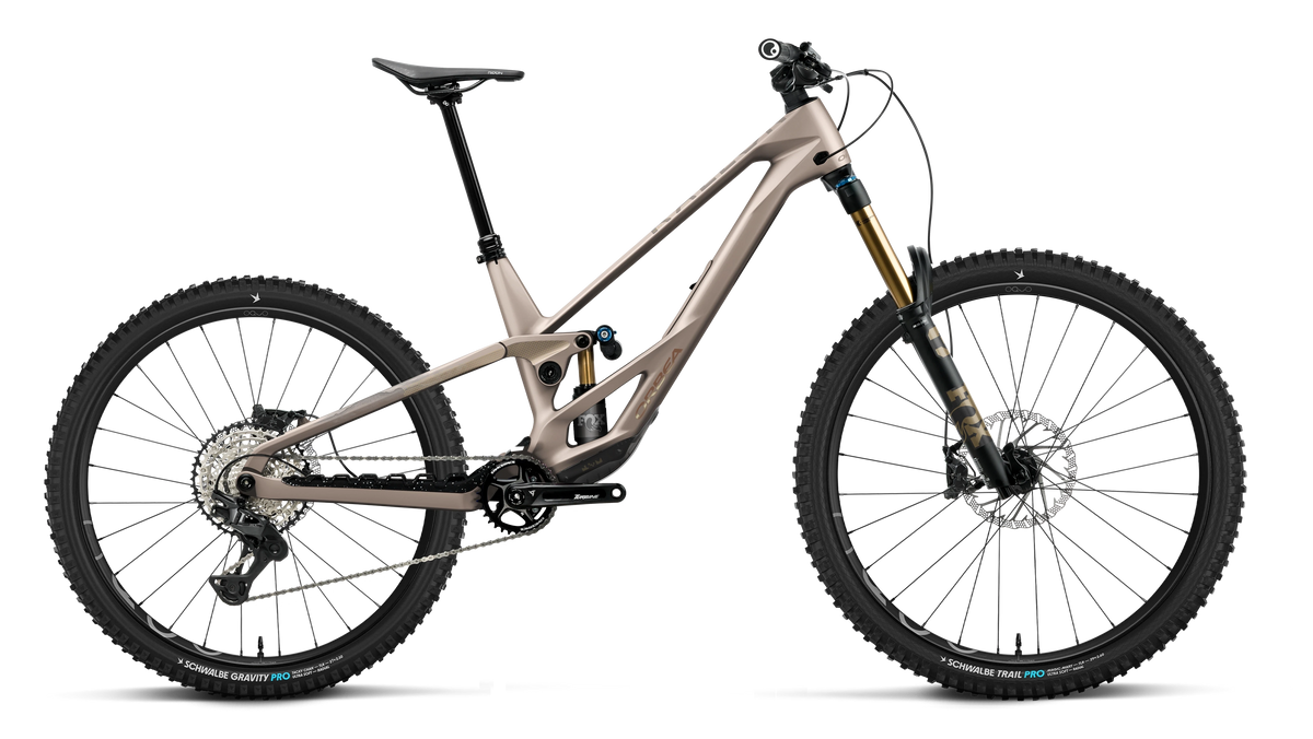 ORBEA Rallon E-TEAM