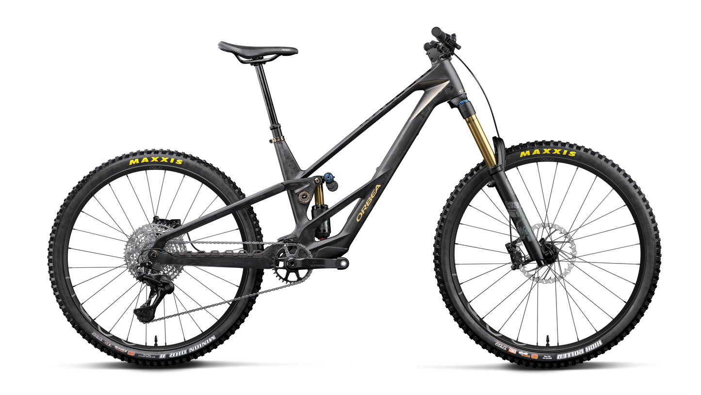 ORBEA Rallon RS-TEAM Mullet