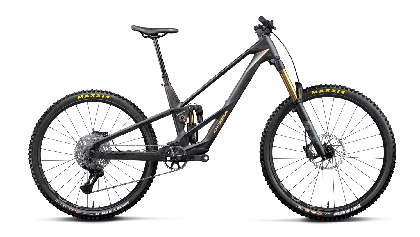 ORBEA Rallon RS-LTD Mullet