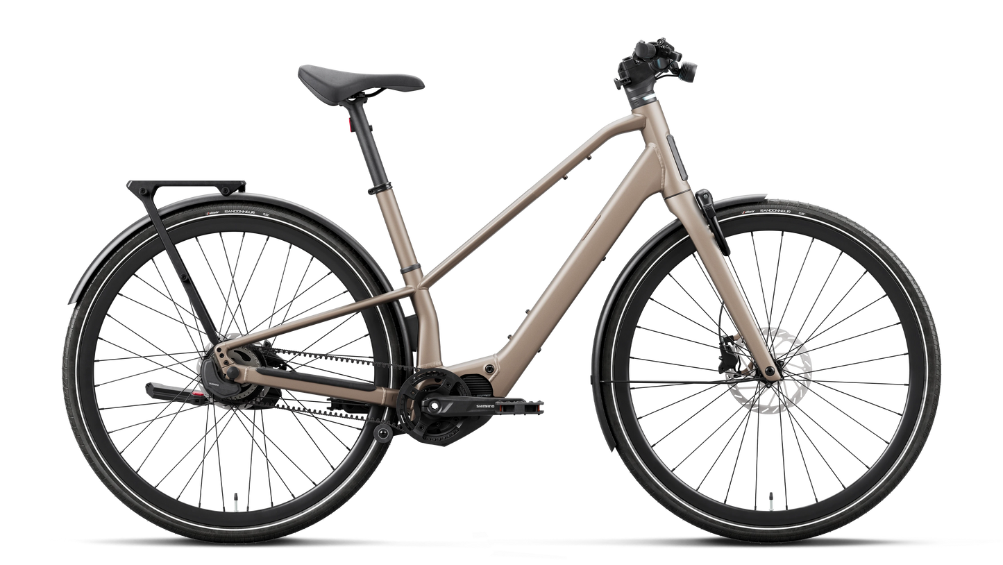ORBEA Carpe 10